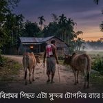 Good Night in Assamese: 390 Heartfelt Wishes & Quotes